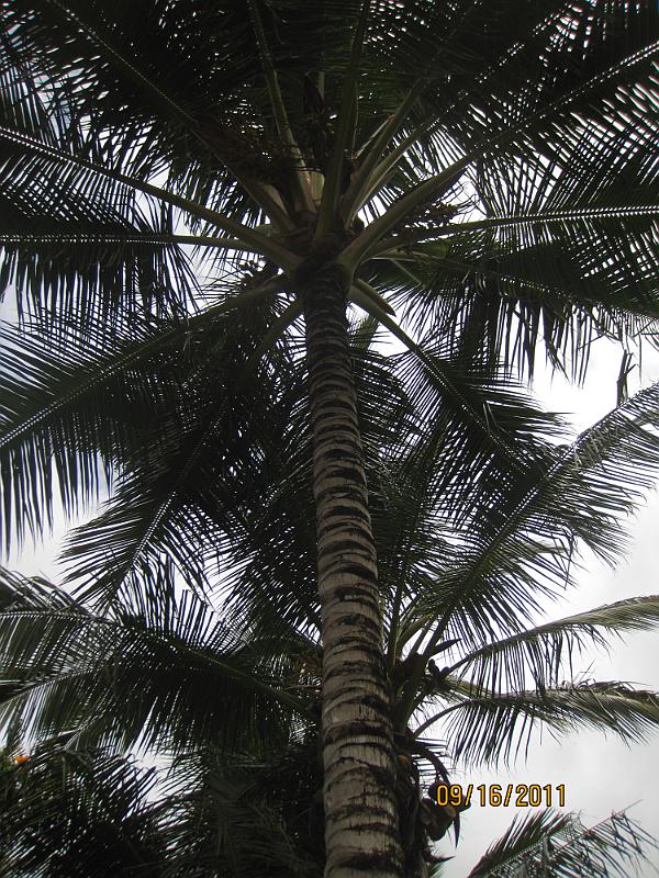 Picture 028